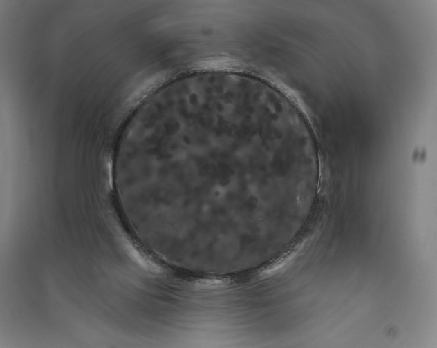 X0000091090061200708201507