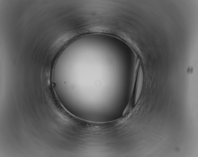 X0000091090062200708201507