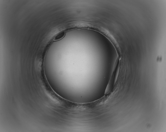 X0000091090063200708201507