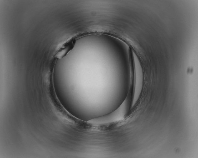 X0000091090064200708201507