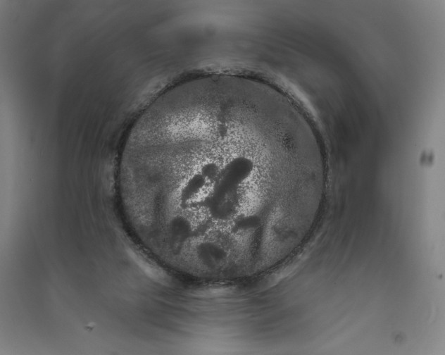 X0000091090065200708201507