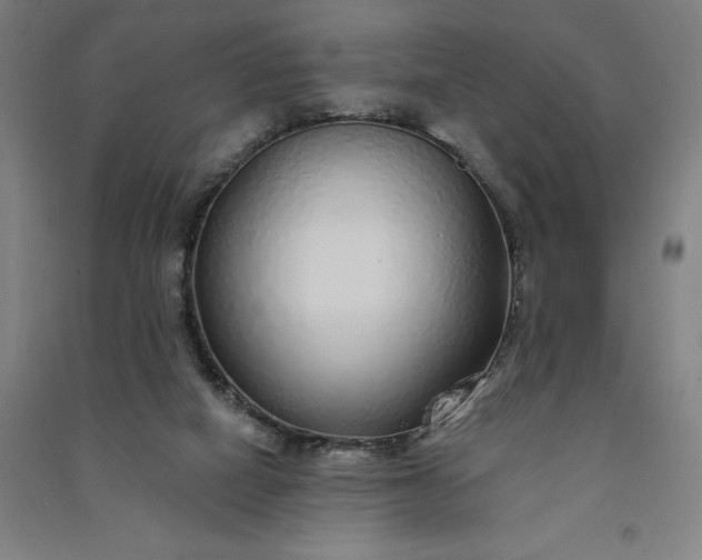 X0000091090066200708201507