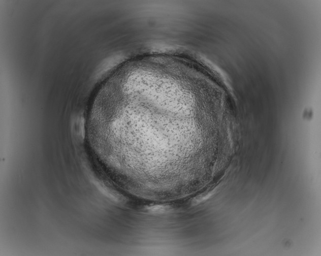 X0000091090067200708201507