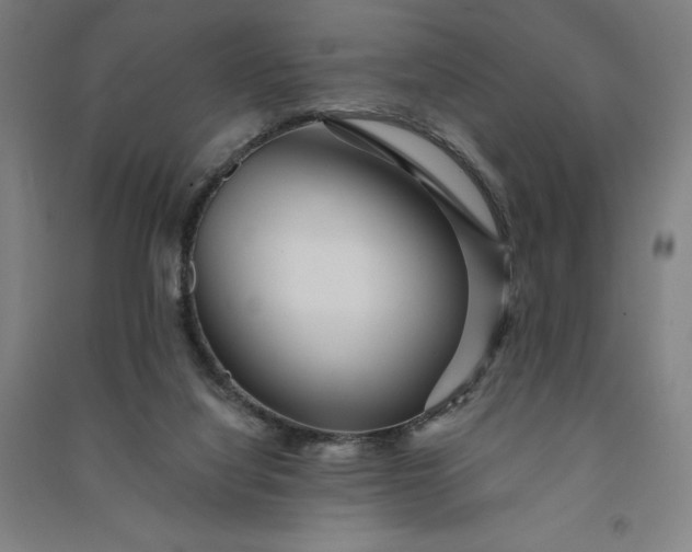 X0000091090068200708201507