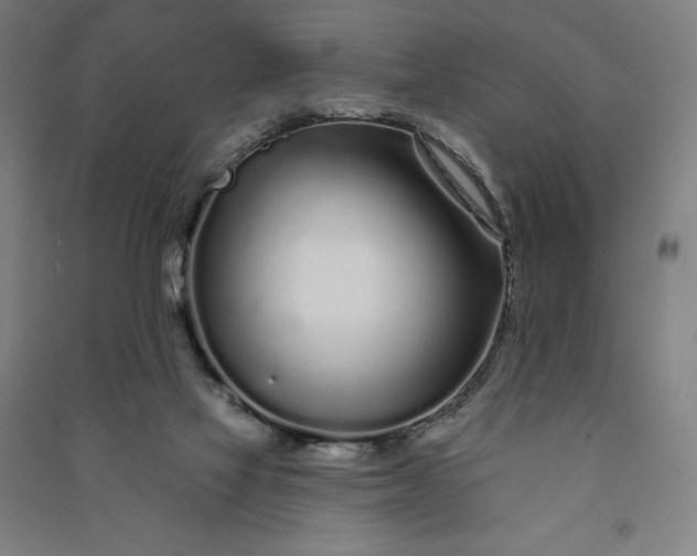 X0000091090069200708201507