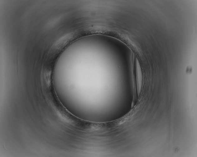 X0000091090070200708201507