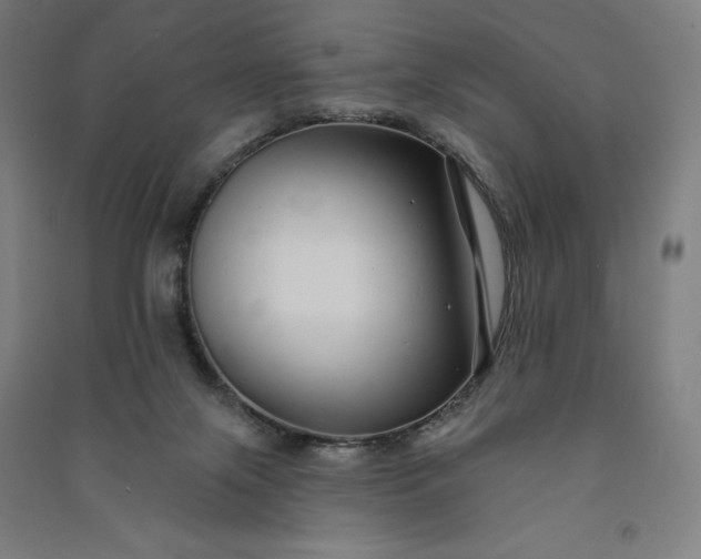 X0000091090071200708201507