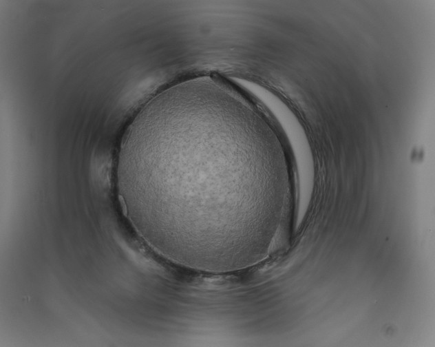 X0000091090072200708201507