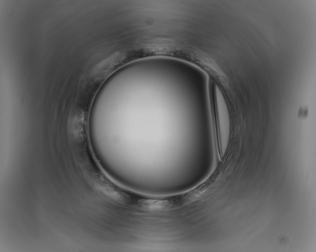 X0000091090073200708201507