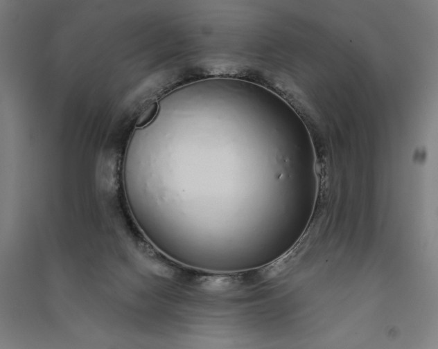 X0000091090074200708201507