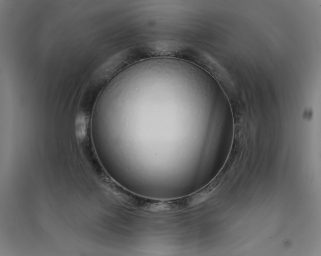 X0000091090075200708201507