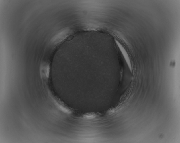 X0000091090076200708201507