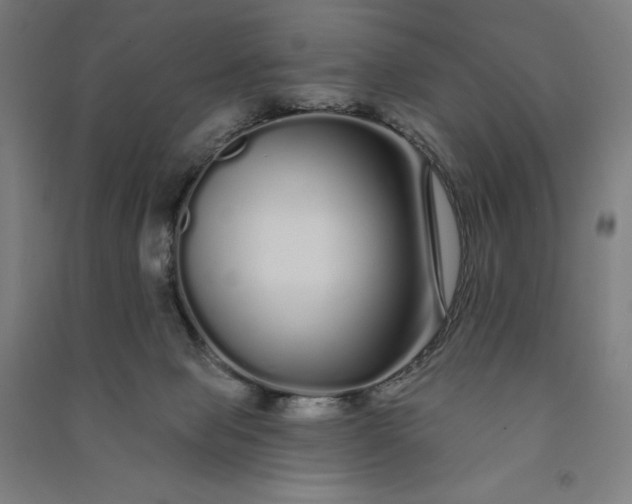 X0000091090077200708201507