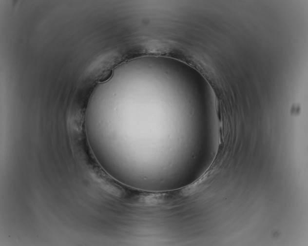 X0000091090078200708201507