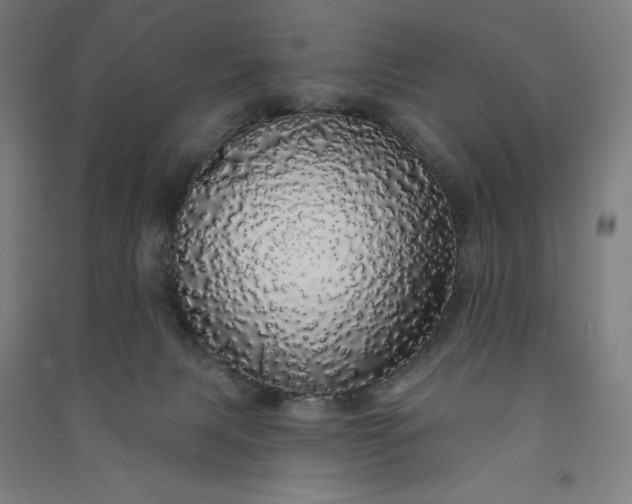 X0000091090079200708201507