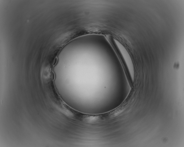 X0000091090081200708201507