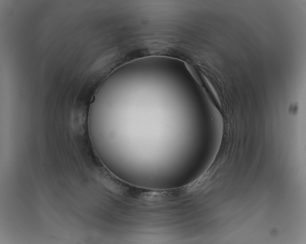 X0000091090082200708201507