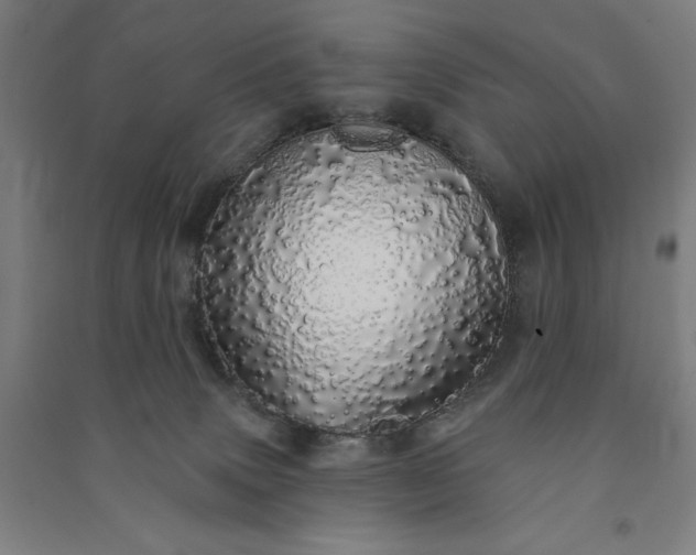 X0000091090083200708201507