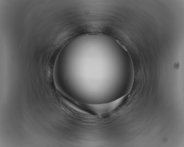 X0000091090084200708201507