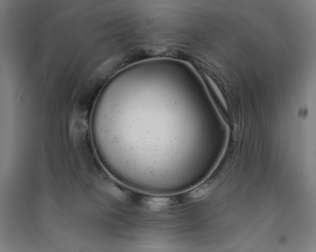 X0000091090085200708201507