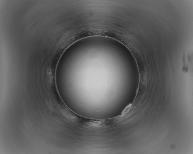 X0000091090086200708201507