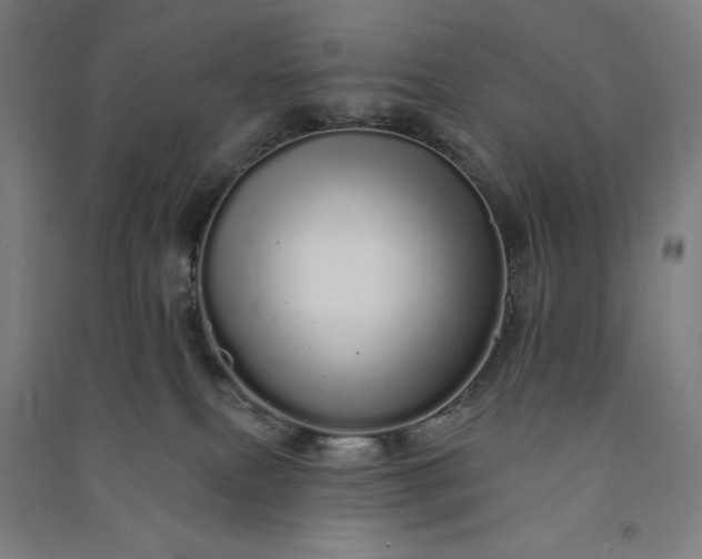 X0000091090087200708201507