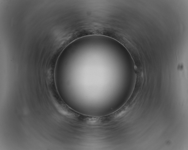 X0000091090088200708201507