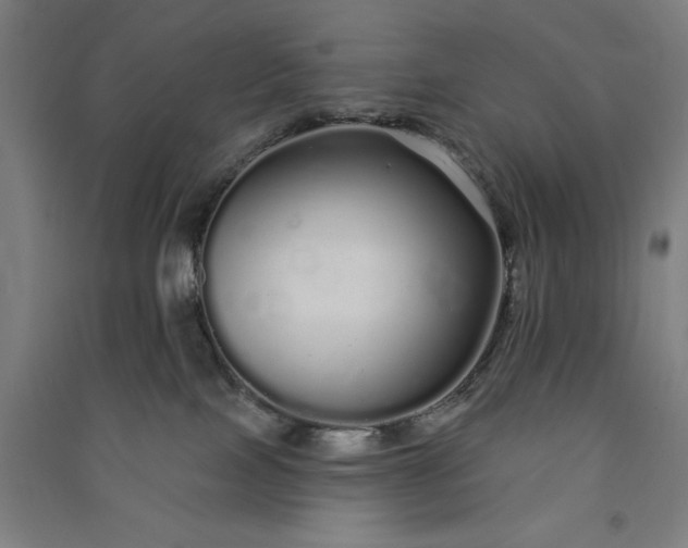 X0000091090089200708201507