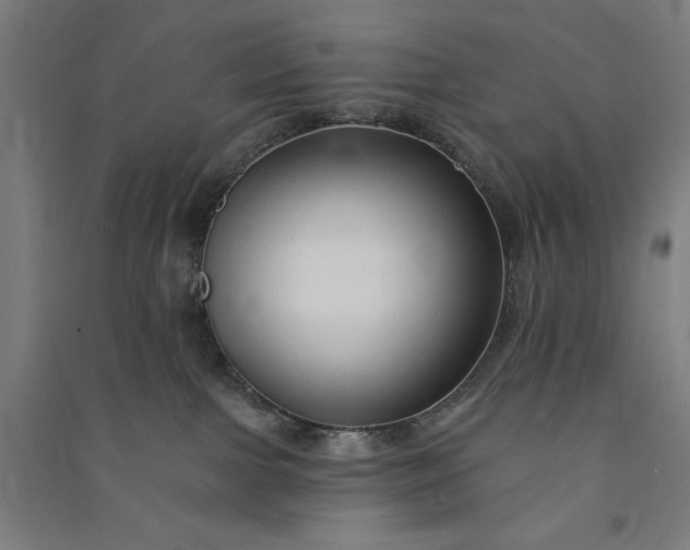 X0000091090091200708201507