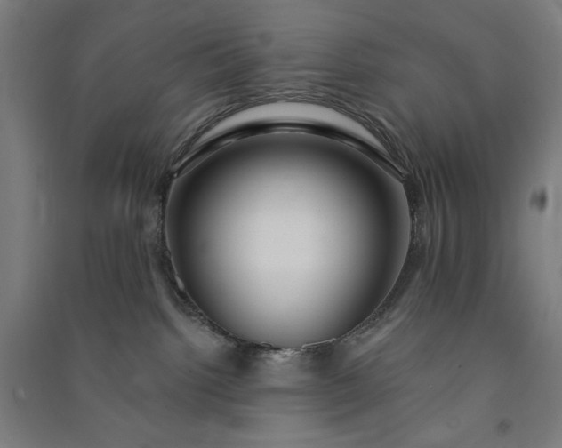 X0000091090092200708201507