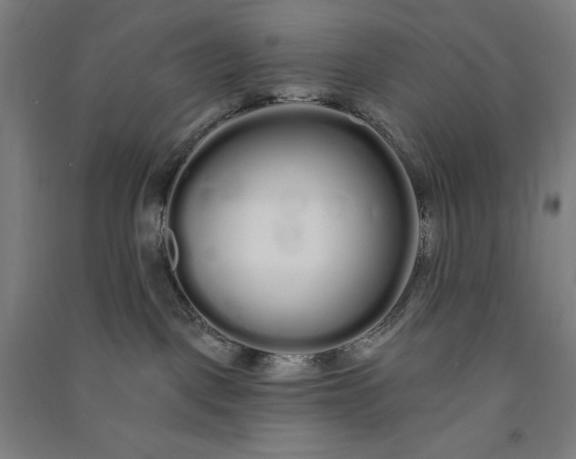 X0000091090093200708201507