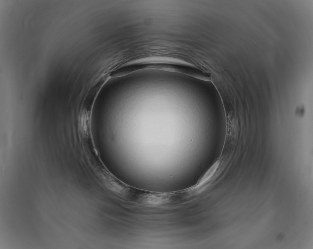 X0000091090094200708201507