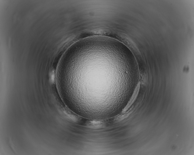 X0000091090095200708201507