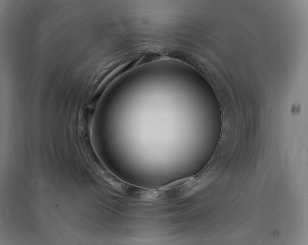 X0000091090096200708201507