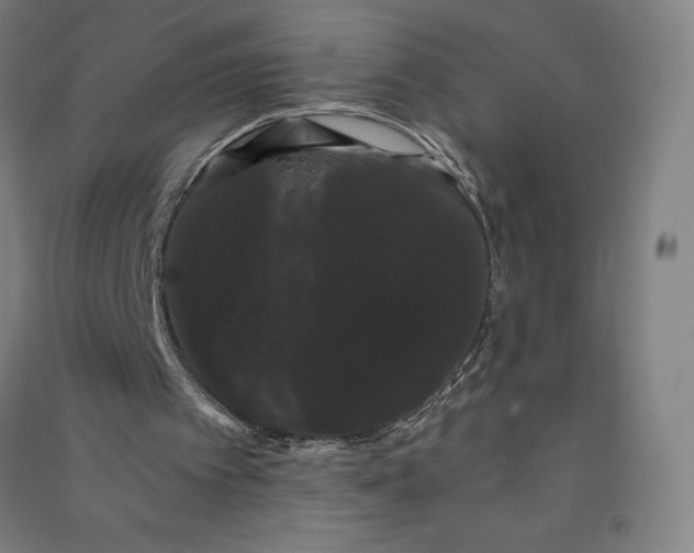 X0000091090097200708201507