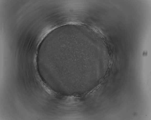 X0000091090098200708201507