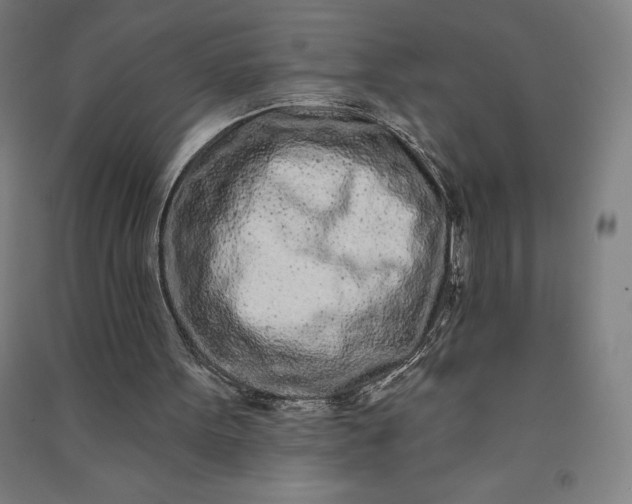 X0000091090099200708201507