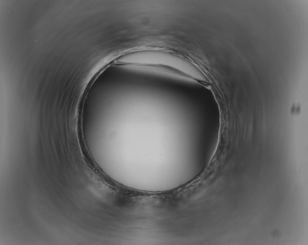 X0000091090100200708201506