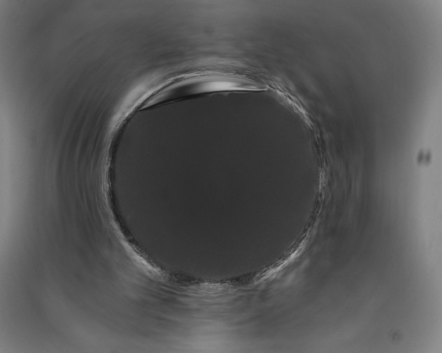 X0000091090101200708201506