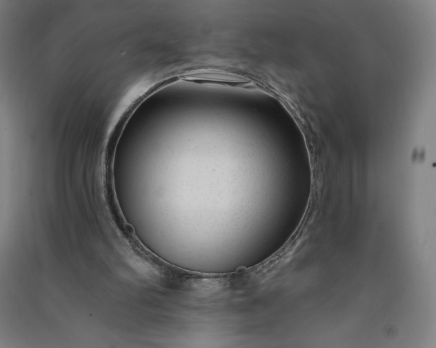 X0000091090102200708201506