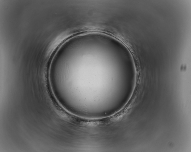 X0000091090103200708201506