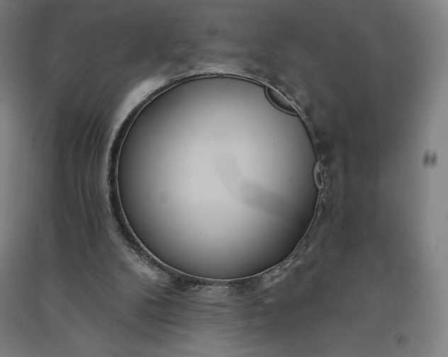 X0000091090104200708201506