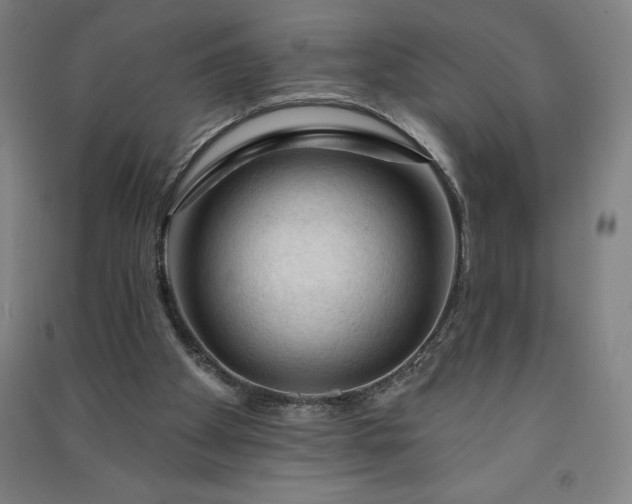 X0000091090105200708201506