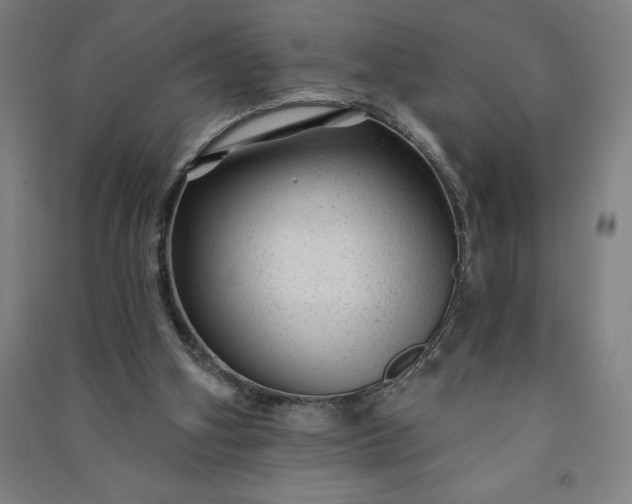 X0000091090106200708201506