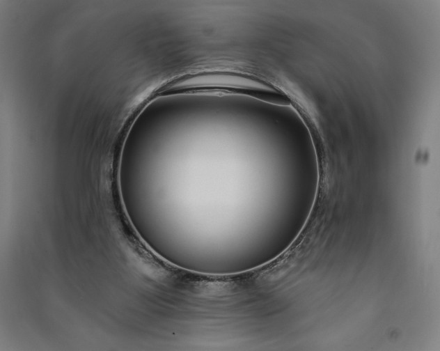 X0000091090107200708201506