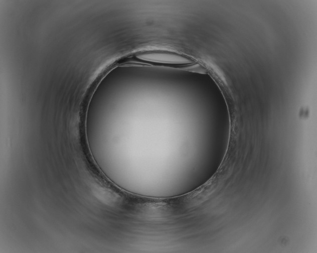 X0000091090108200708201506