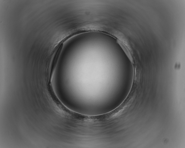 X0000091090109200708201506