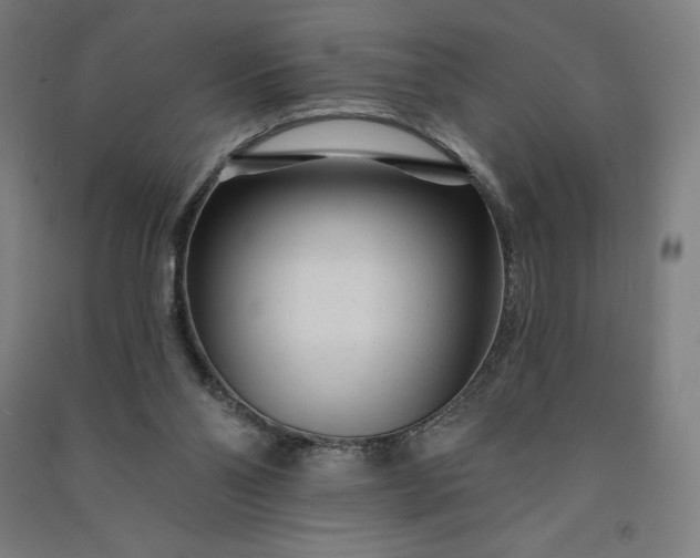 X0000091090110200708201506