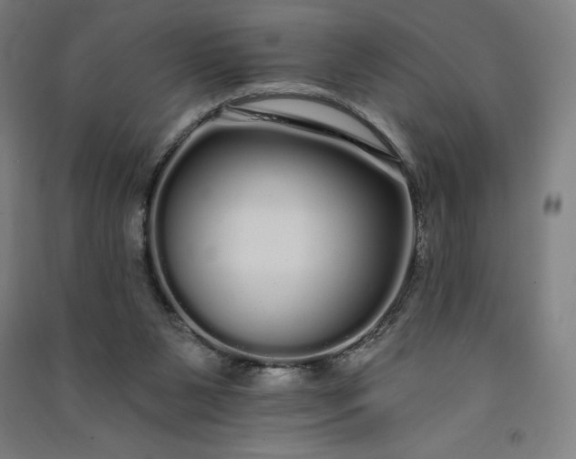 X0000091090111200708201506