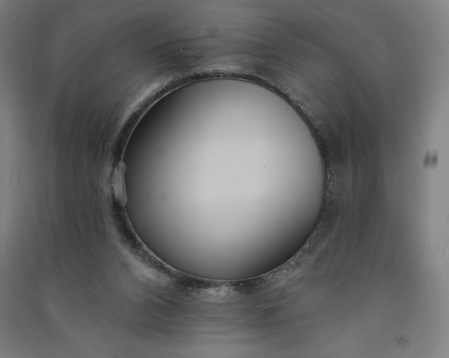 X0000091090112200708201506